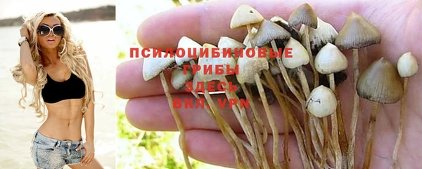 прущий лед Армянск
