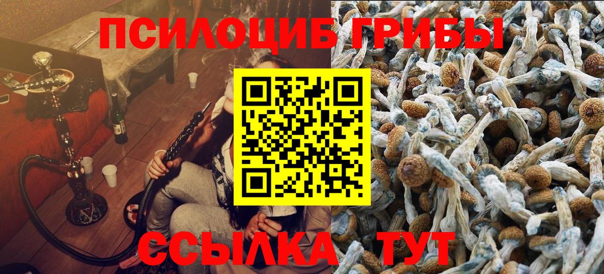 Псилоцибиновые грибы MAGIC MUSHROOMS  Вход с VPN  Галлюциногенные грибы Psilocybe  Кирово-Чепецк 