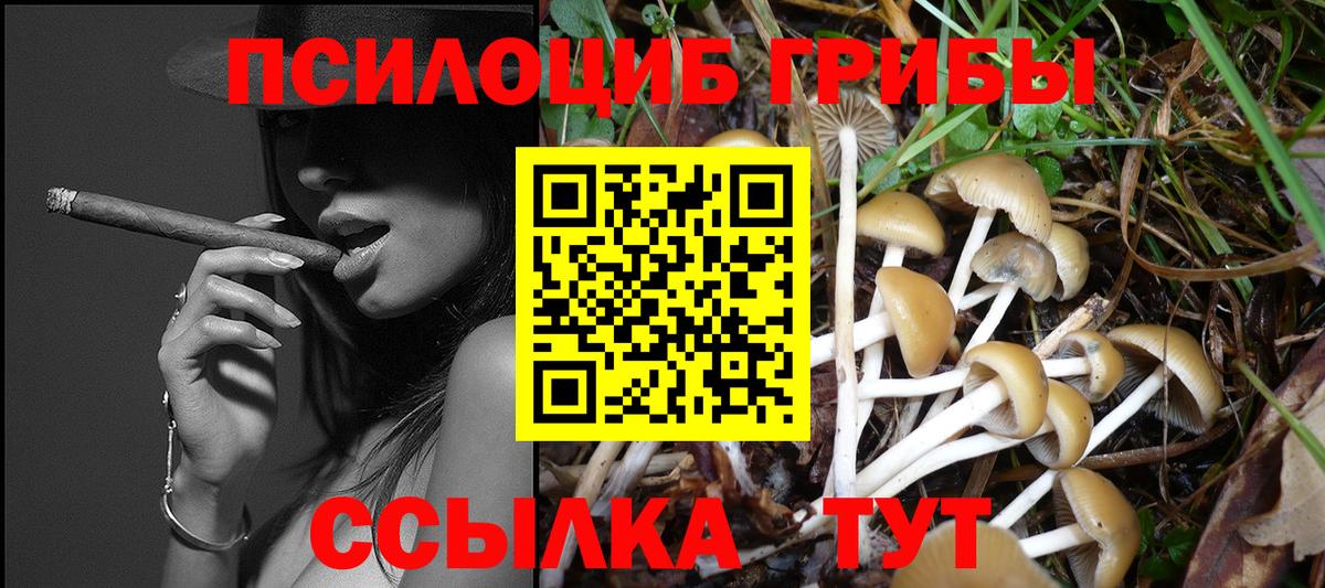 Псилоцибиновые грибы MAGIC MUSHROOMS Кирово-Чепецк